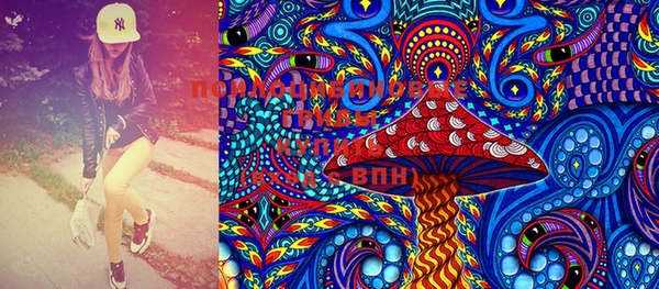 индика Усолье-Сибирское