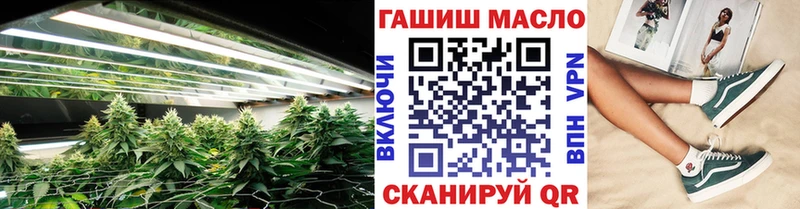 Купить где  Тулун  ТГК концентрат 